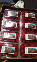 Strawberries 16.oz (1lb)
